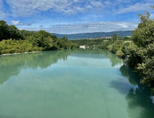 2025-07-23 Saint_Genis_Pouilly-Brassy