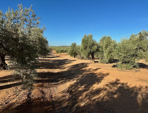 2025-08-30 La Carolina-Jaén