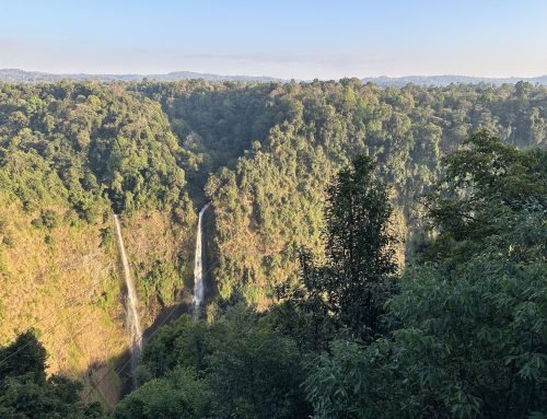 2026-01-10 Bolaven Plateau