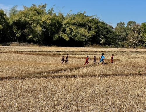 2026-01-12 Bolaven Plateau