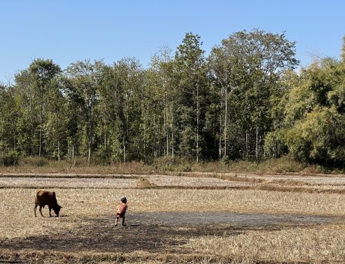 2026-01-12 Bolaven Plateau