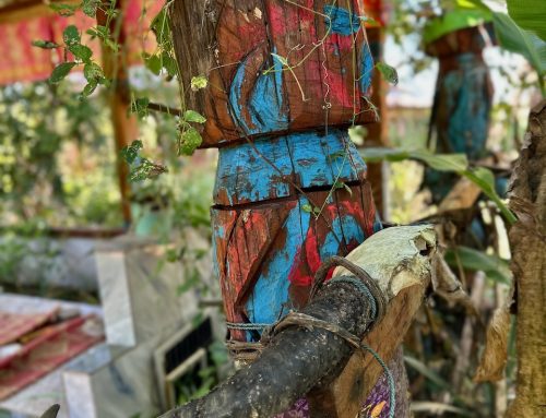 2026-01-30 Virachey National Park