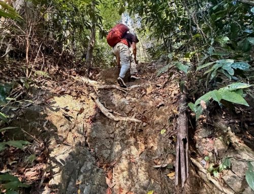 2026-01-28 Virachey National Park