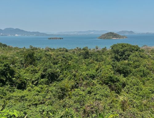 2026-02-09 Kaoh Tunsay